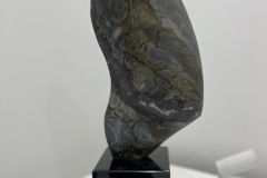 Study VII