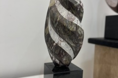 Study VI